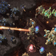 Illustration for article titled StarCraft II: Wings Of Liberty Comes With Protoss "Mini-campaign"